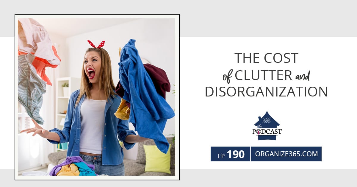 The-Cost-of-Clutter-&-Disorganization-Photo-5