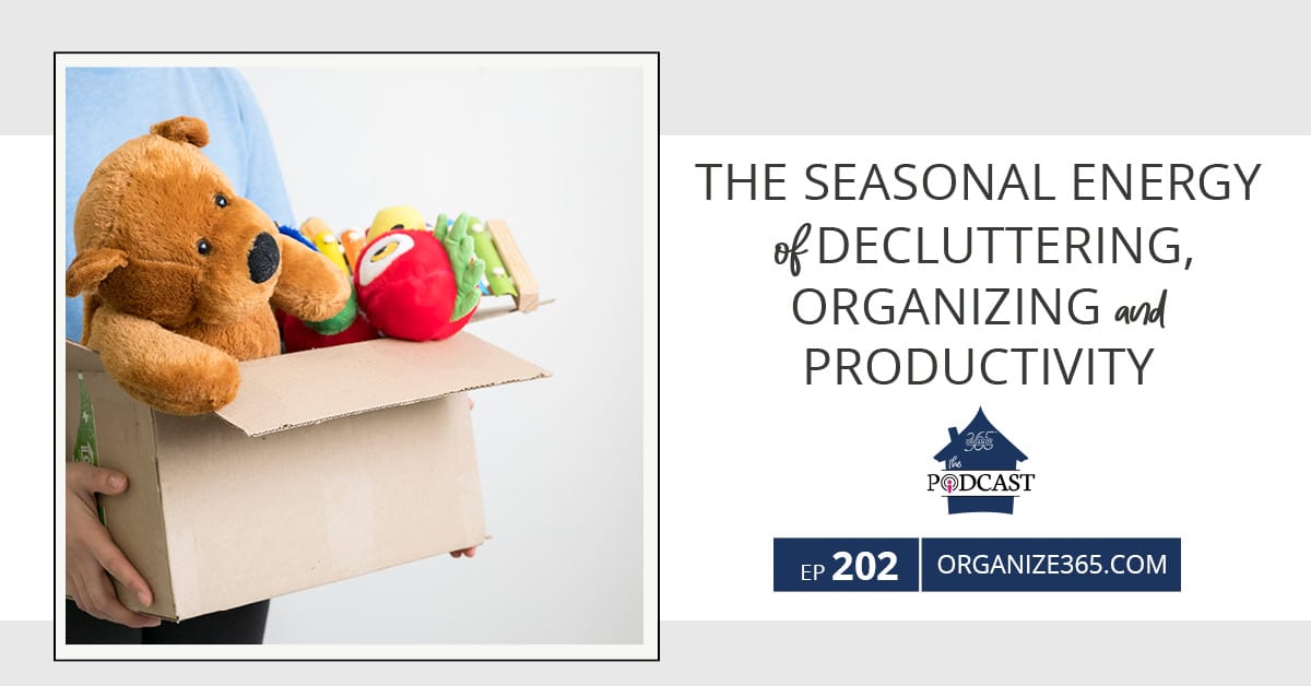 The-Seasonal-Energy-of-Decluttering-Organizing-&-Productivity-photo-1