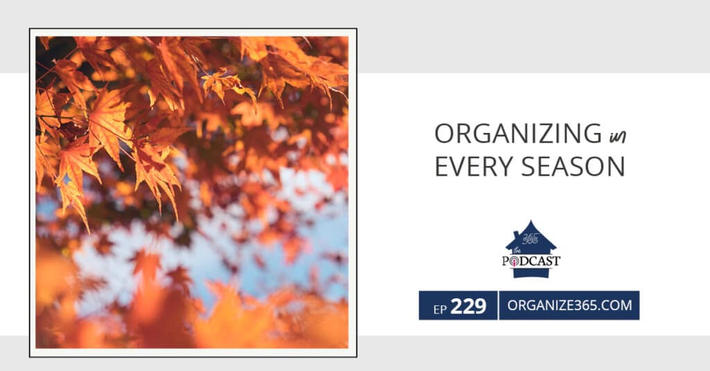 Organizing-In-Every-Season-photo-1