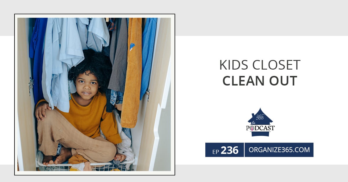 kids-closet-clean-photo-8