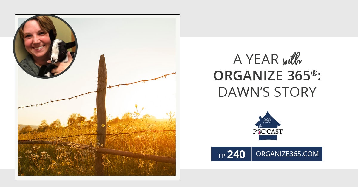 A-Year-With-Organize-365-Dawn's-Story-photo-1