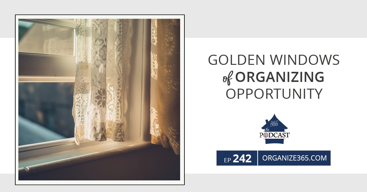 Golden-Windows-of-Organizing-Opportunity-photo-1