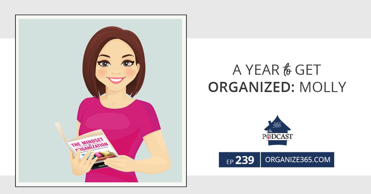 A-Year-To-Get-Organized-Molly-Photo-2