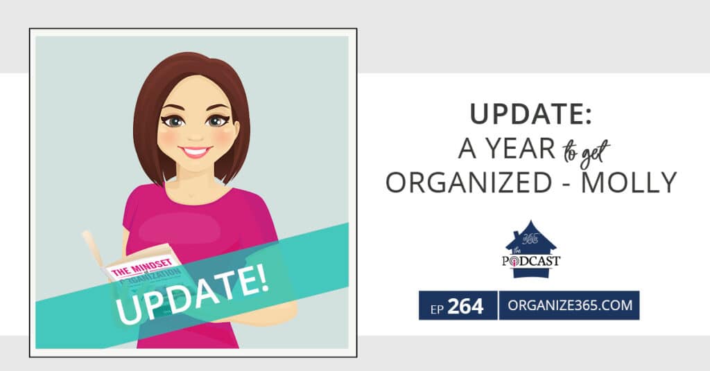 Update-a-year-to-get-organized-molly-photo-1