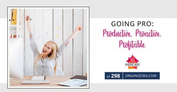 Going-PRO-Productive-Proactive-Profitable