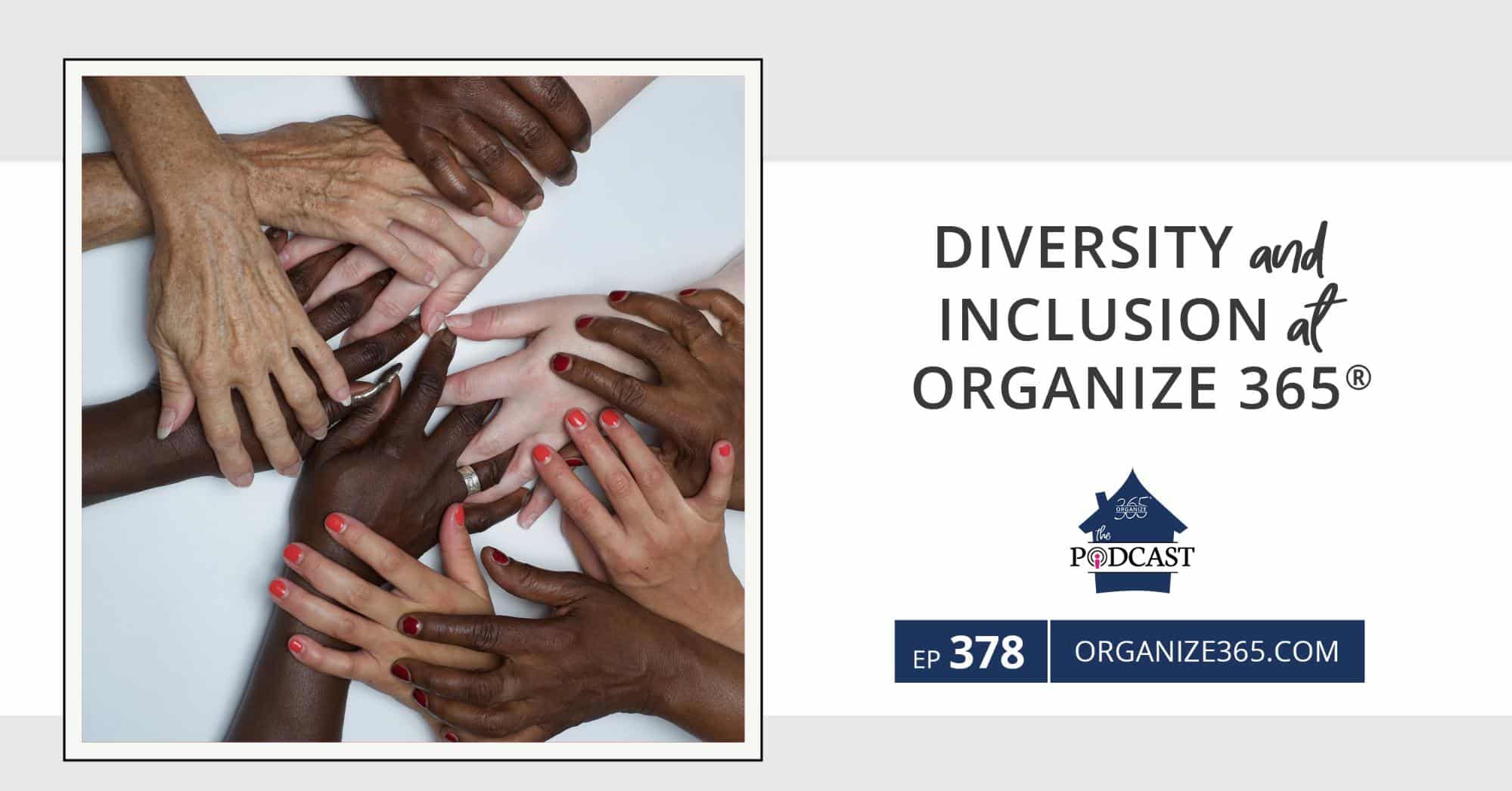 Diversity-and-Inclusion-at-Organize-365-photo-1