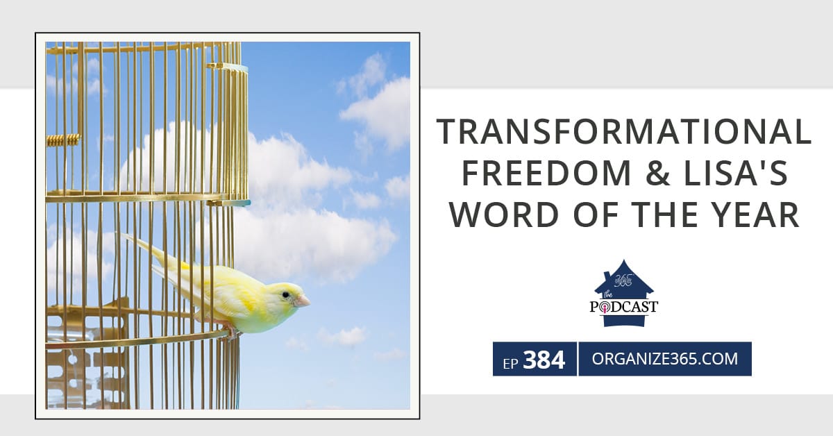 Transformational-Freedom-&-Lisa’s-Word-of-the-Year-photo-1