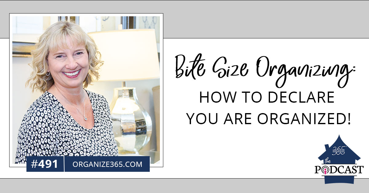 bite-sized-organizing-how-to-declare-you-are-organized