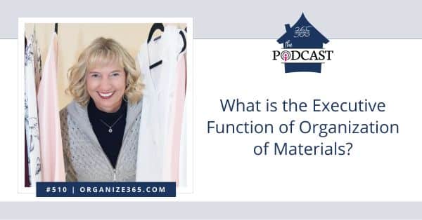 What-is-the-Executive-Function-of-Organization-of-Materials