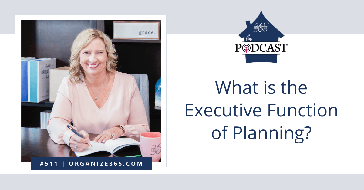 What-is-the-Executive-Function-of-Planning