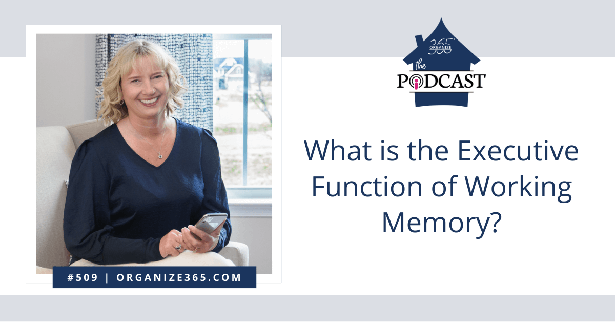 What-is-the-Executive-Function-of-Working-Memory