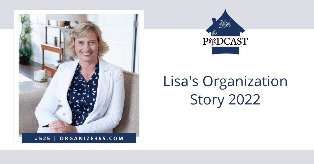 Lisa's Organization Story 2022
