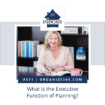 what is the executive function planning