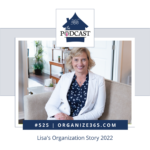 Lisa's organization story 2022