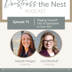 De-Stress The Nest Ep 75 - Lisa Woodruff